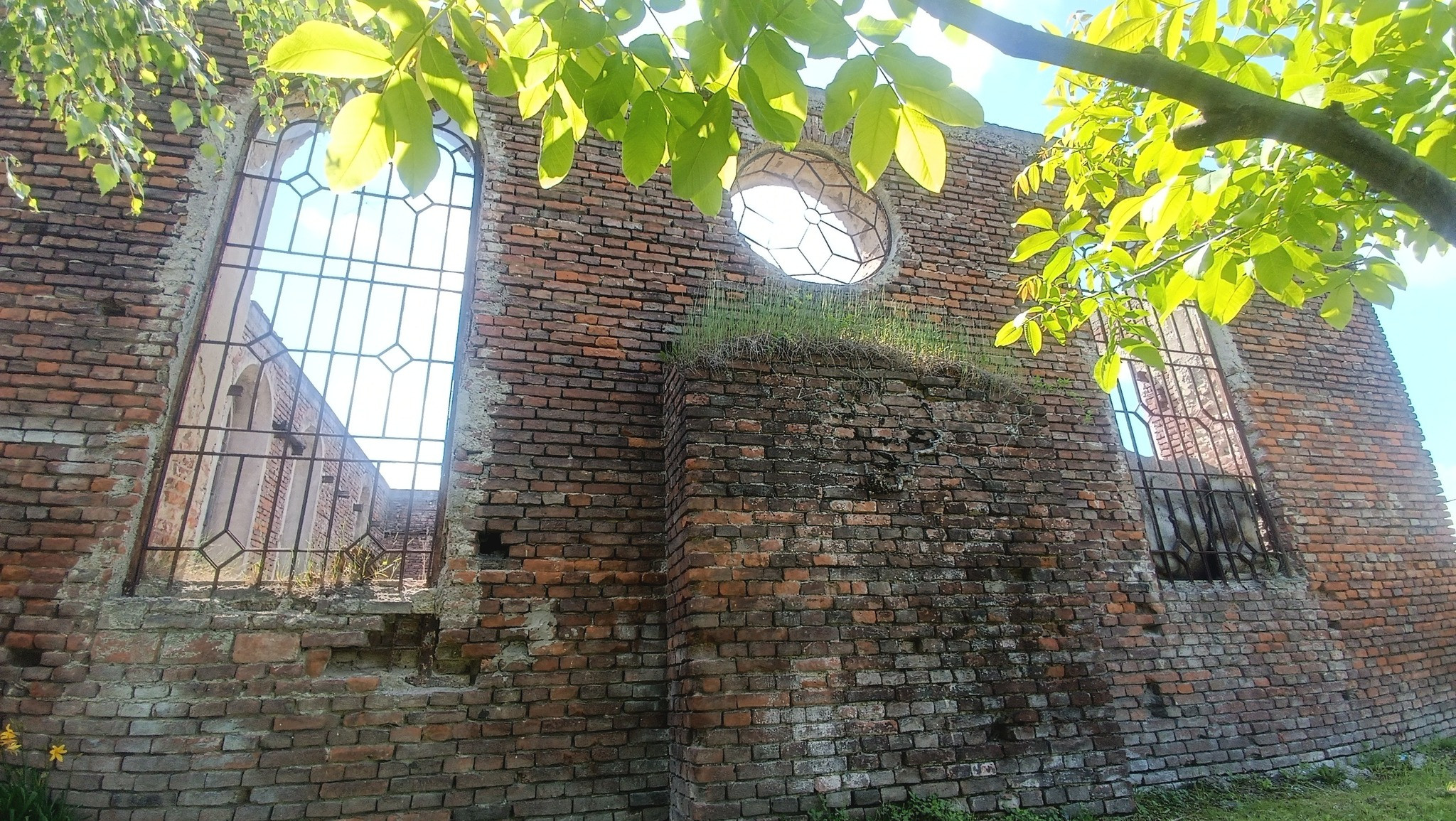 Ruiny dawnej bożnicy w Medyce